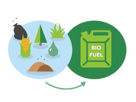 Food into Biofuel