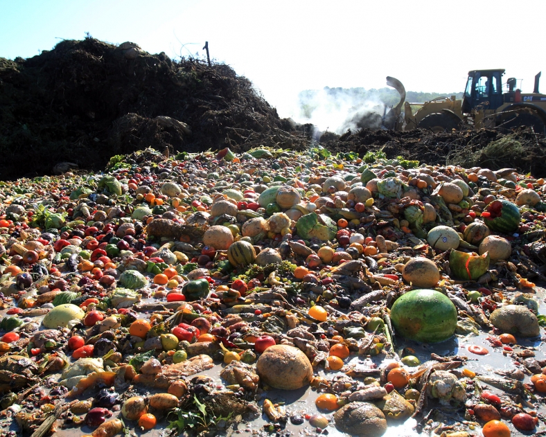 Food Waste In The UK Amounts To 10.3 Billion Tons In 2020