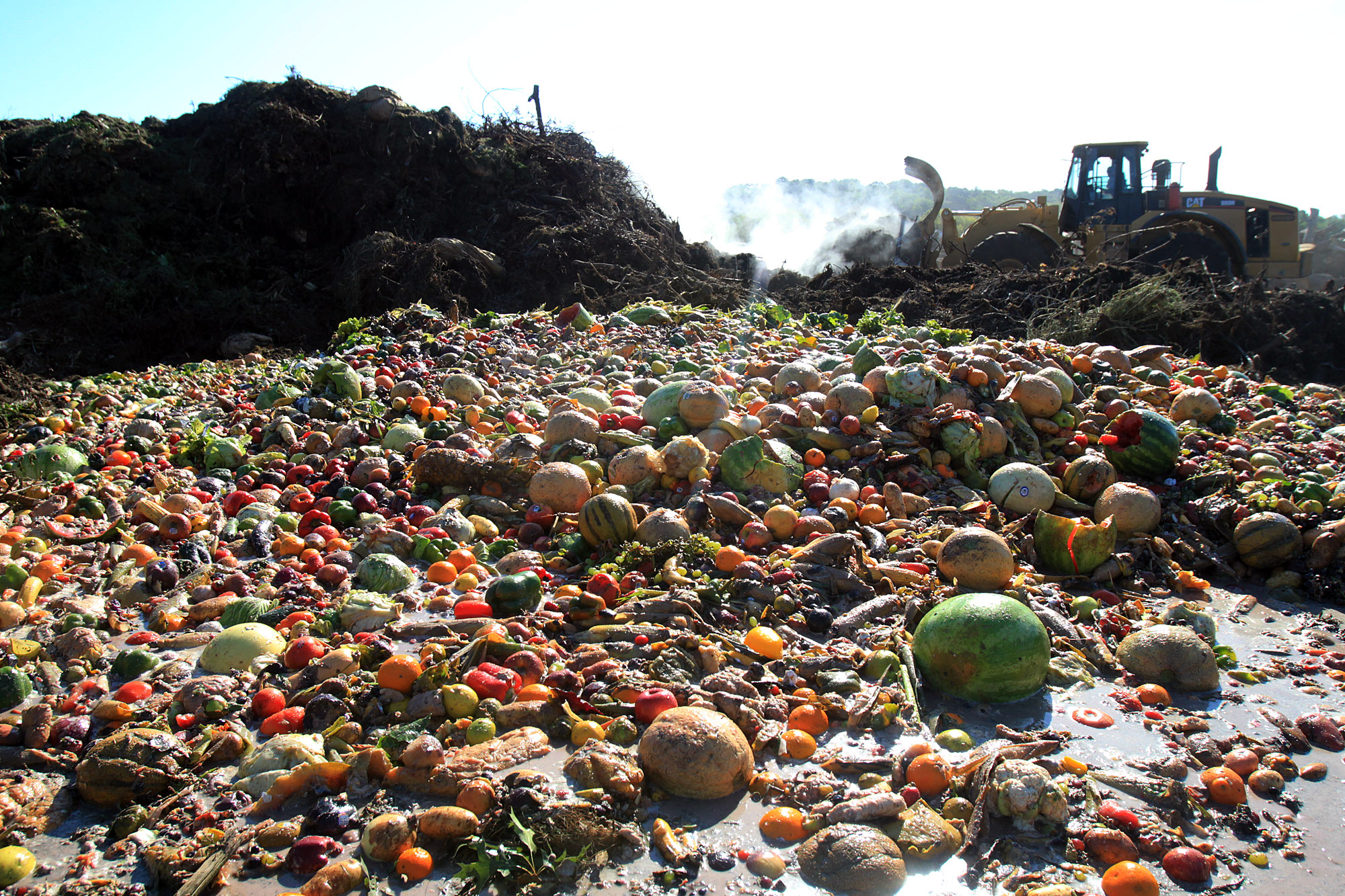 Food Waste In The UK Amounts To 10.3 Billion Tons In 2020